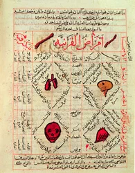 Avicenna (Ibn Szína) „Az orvostudomány kánonja” (980-1037) című művének lapja